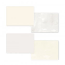 Ginko - Kit Creativo - 6"x8" - Florileges Design