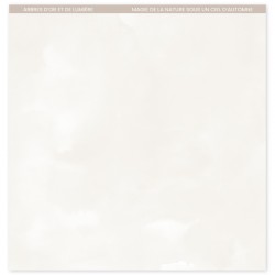 Ginko n. 10 - 12"x12" - Florileges Design