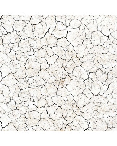 Paper pad 30 x 30 - FROZEN ROSES - Ciao Bella Paper